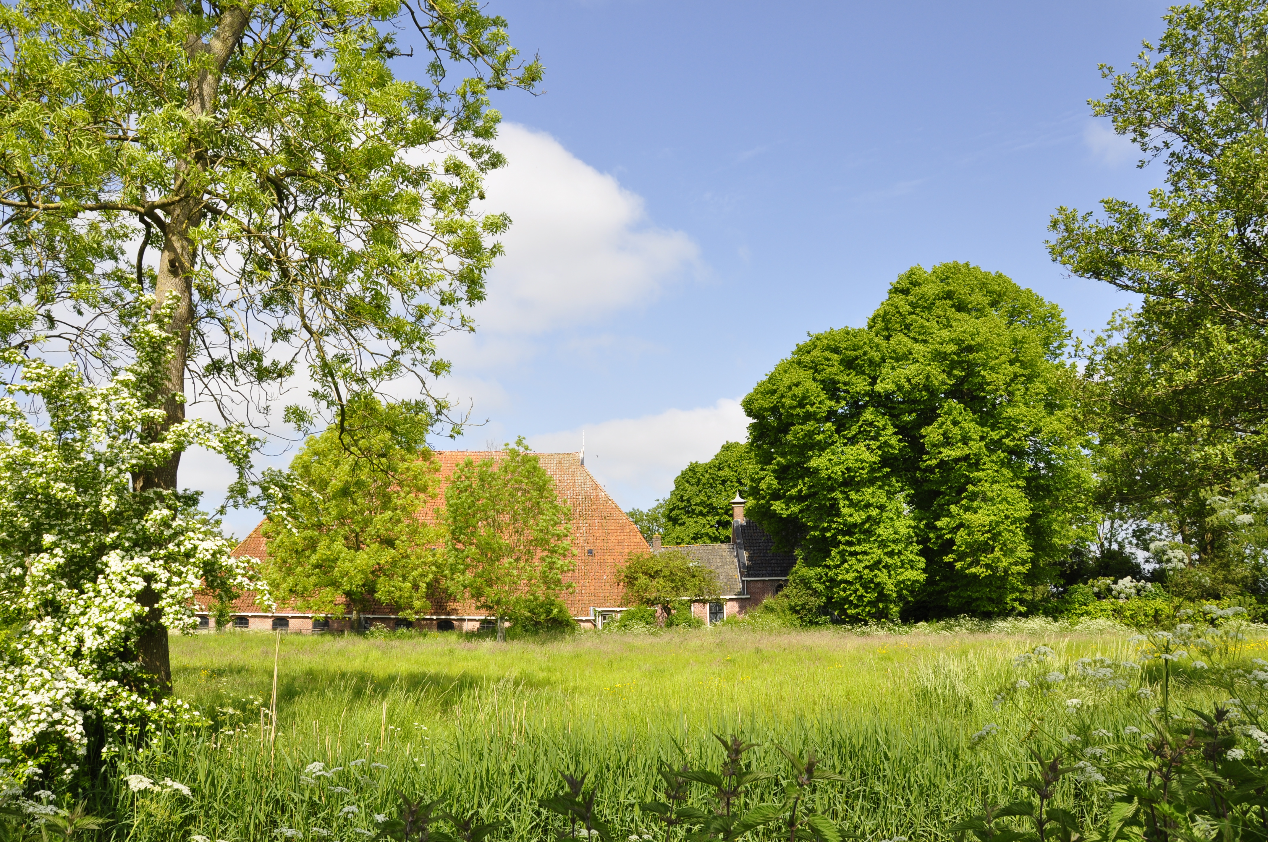 Vacature directeur