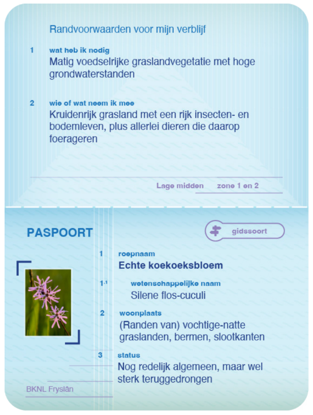 Paspoort koekoeksbloem
