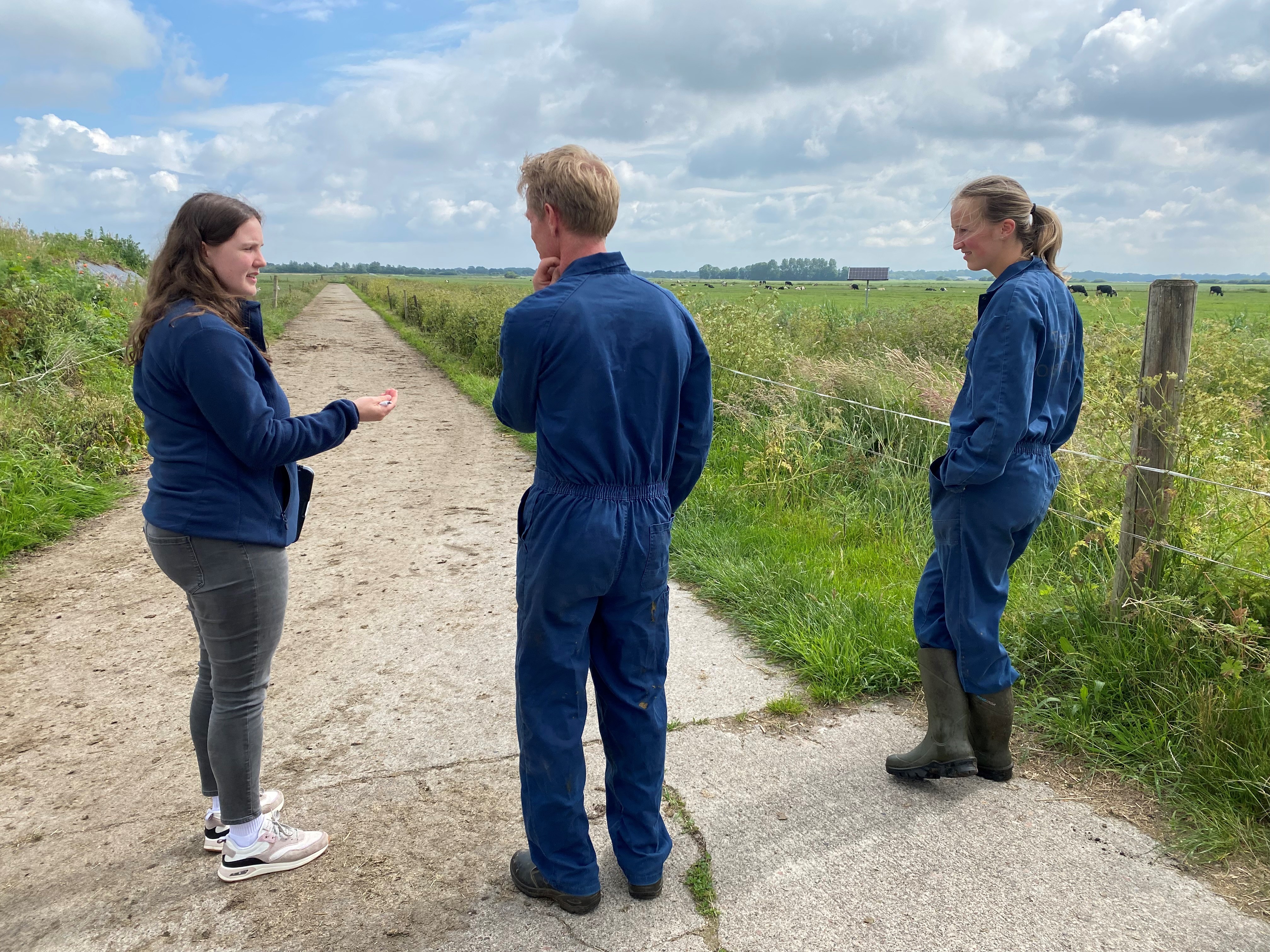 Groen Blauwe Dooradering Landbouwgrond