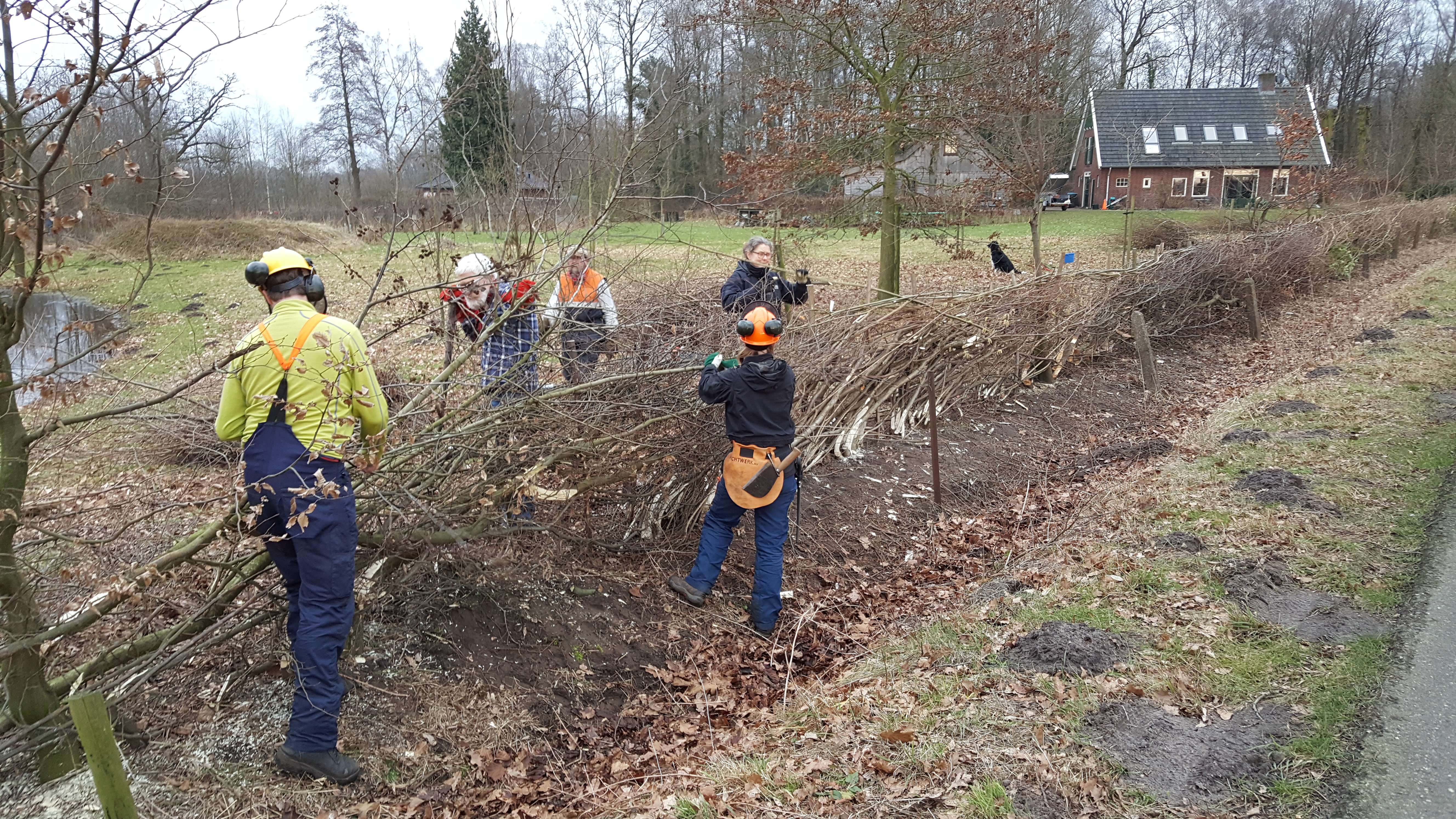 Cursus heggenvlechten