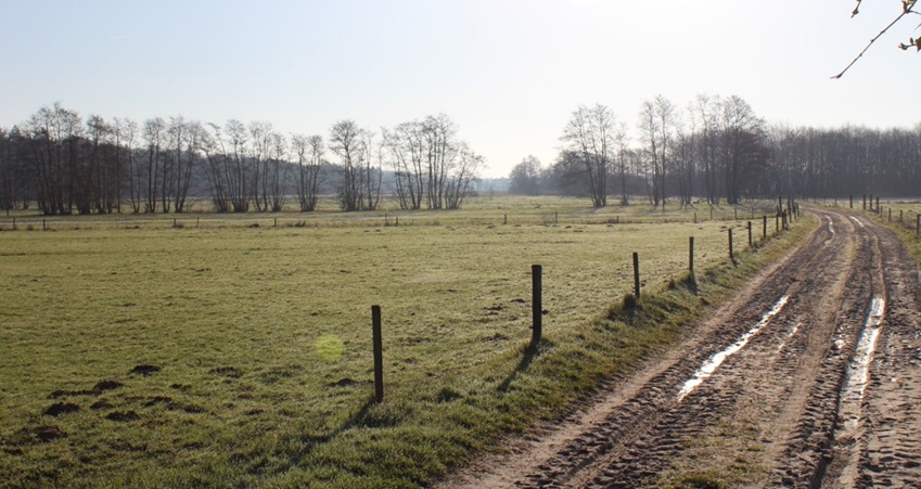 Kwaliteitsgids Zuidelijke Friese Wouden