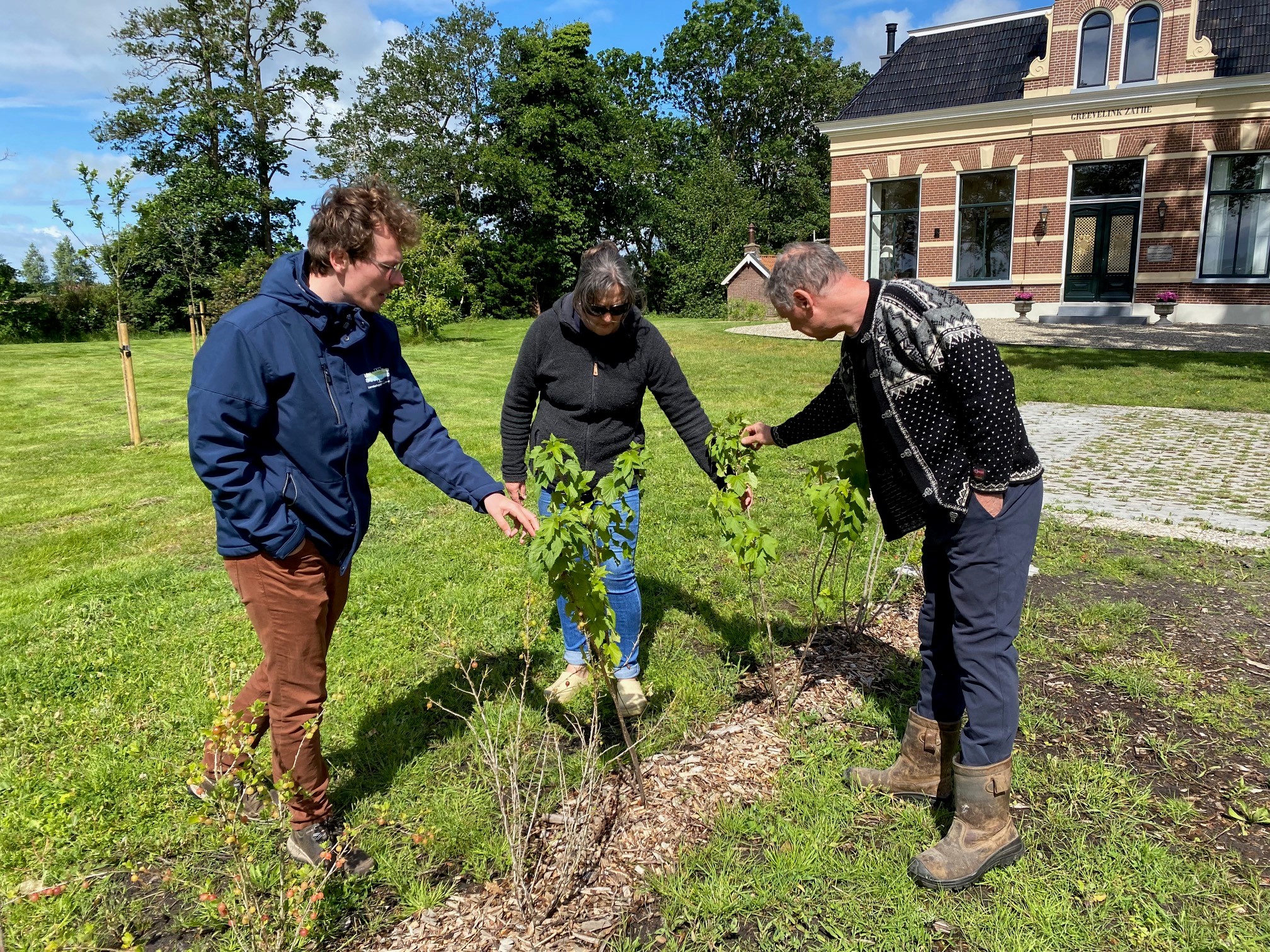 Versterken Groenstructuren Niet Landbouwgrond 