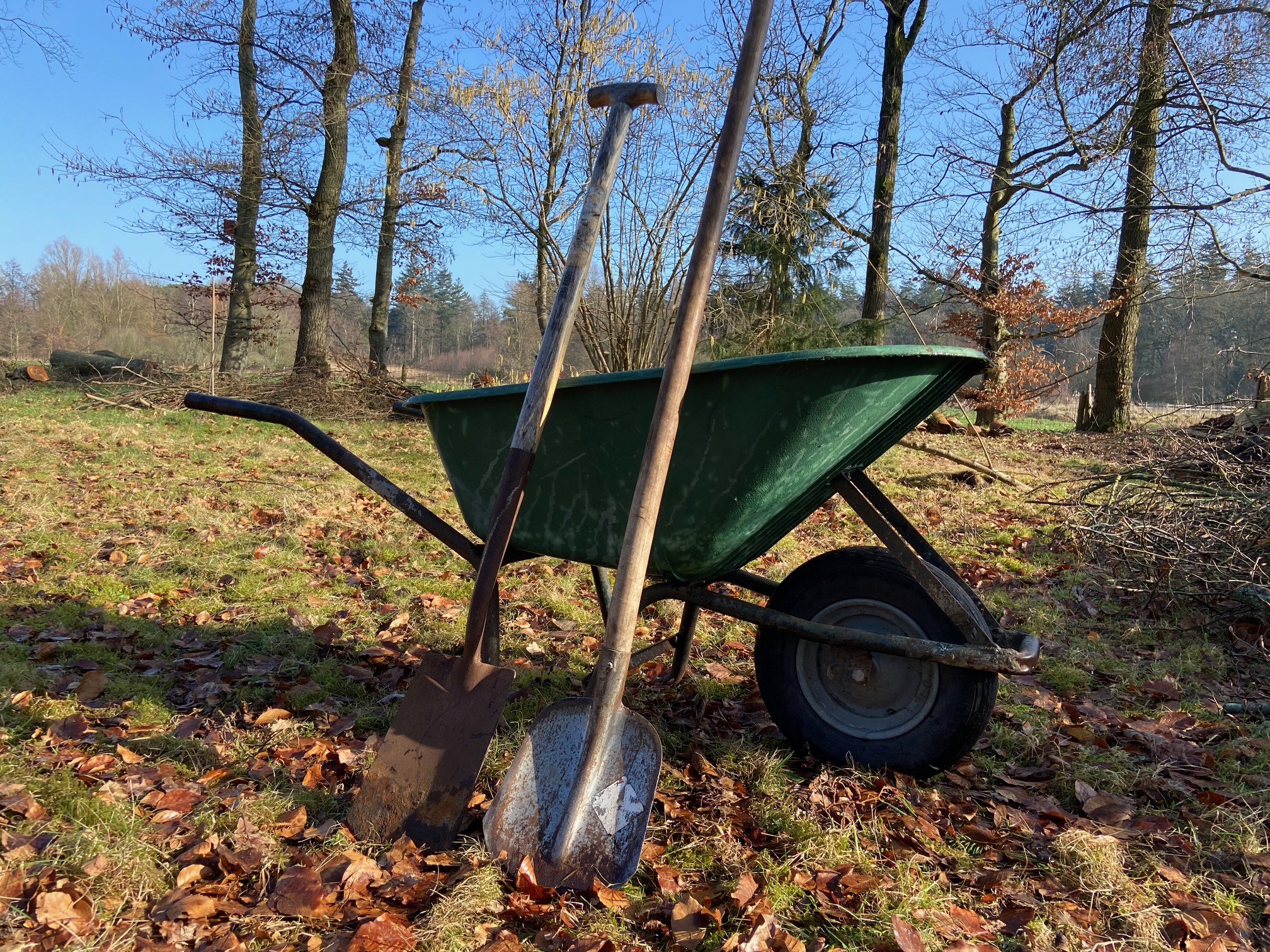 Bomenloket Fryslân 